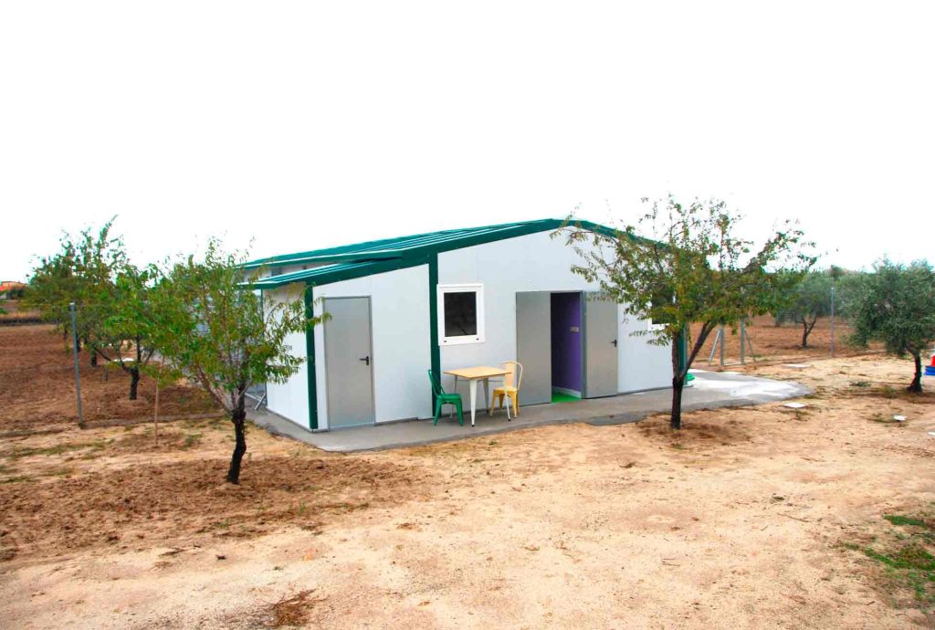 residencia-guarderia-canina-daquivelt-9